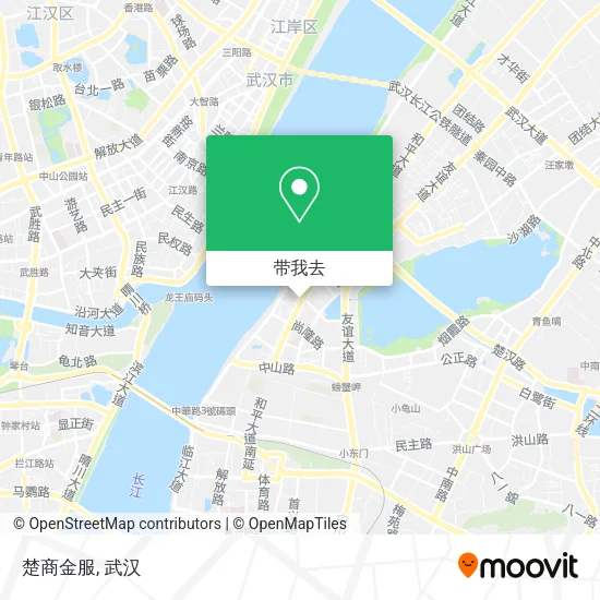 楚商金服地图
