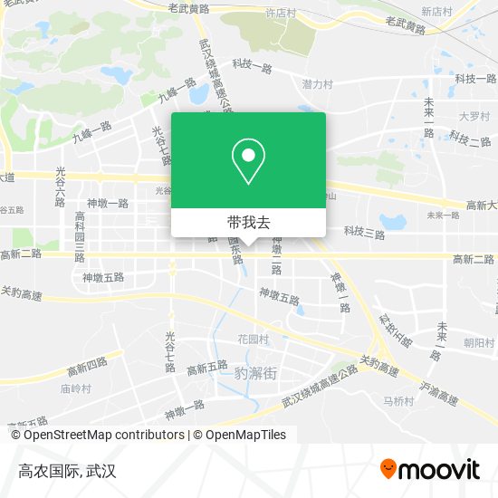 高农国际地图