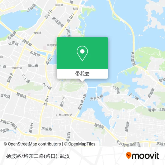 扬波路/珞东二路(路口)地图