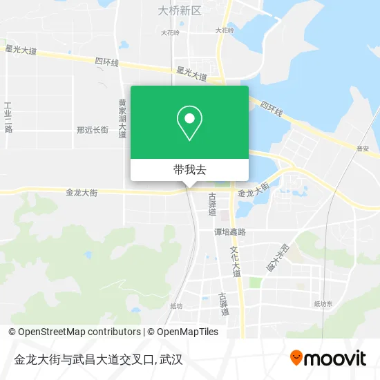 金龙大街与武昌大道交叉口地图