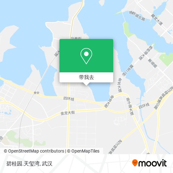 碧桂园.天玺湾地图