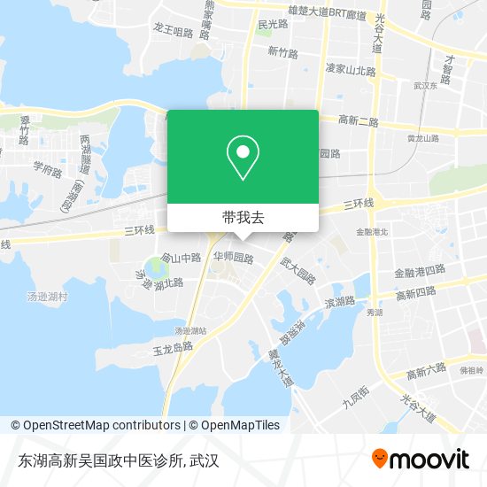东湖高新吴国政中医诊所地图