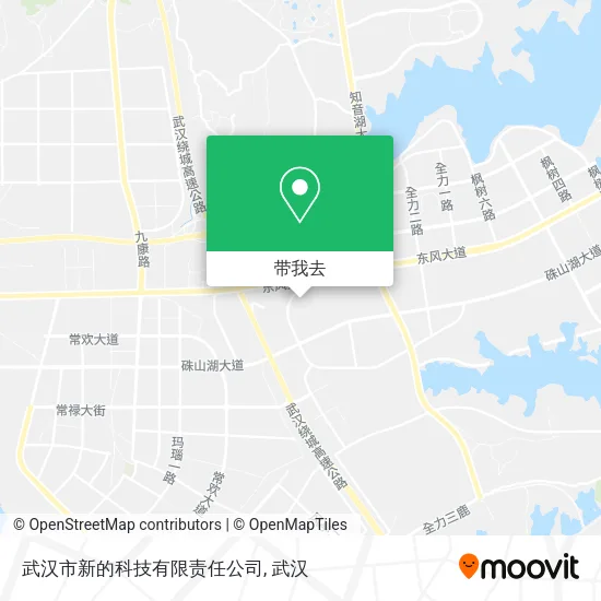武汉市新的科技有限责任公司地图