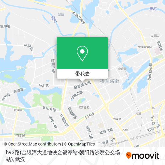 h93路(金银潭大道地铁金银潭站-朝阳路沙嘴公交场站)地图