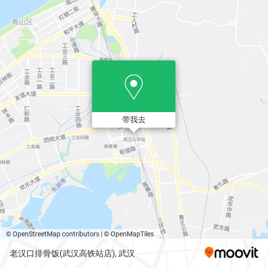 老汉口排骨饭(武汉高铁站店)地图