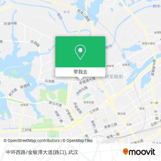 中环西路/金银潭大道(路口)地图