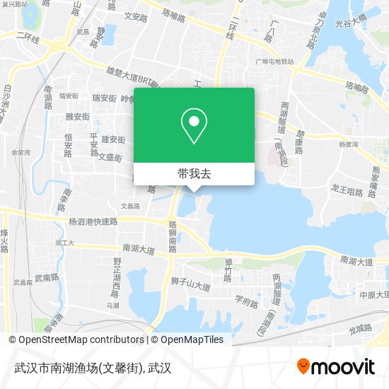 武汉市南湖渔场(文馨街)地图