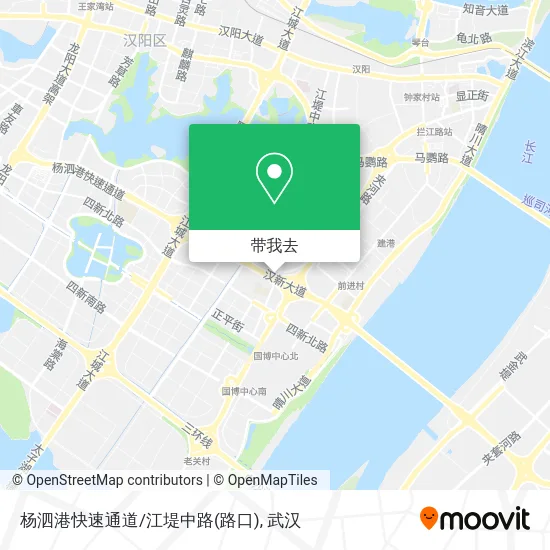 杨泗港快速通道/江堤中路(路口)地图