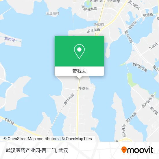 武汉医药产业园-西二门地图