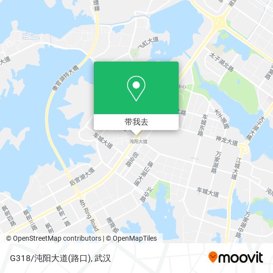 G318/沌阳大道(路口)地图