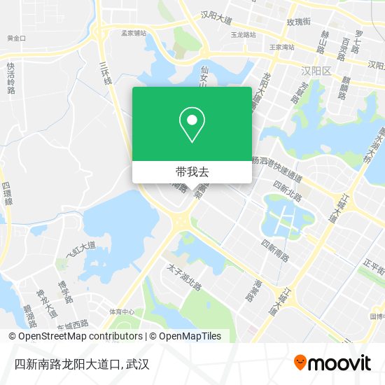 四新南路龙阳大道口地图