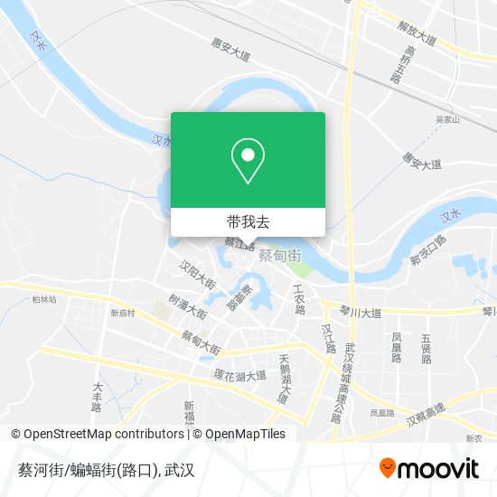 蔡河街/蝙蝠街(路口)地图