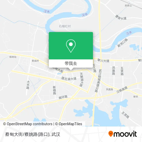 蔡甸大街/蔡姚路(路口)地图