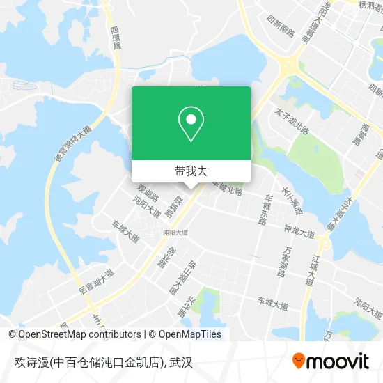 欧诗漫(中百仓储沌口金凯店)地图