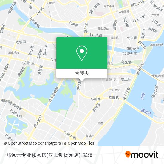 郑远元专业修脚房(汉阳动物园店)地图