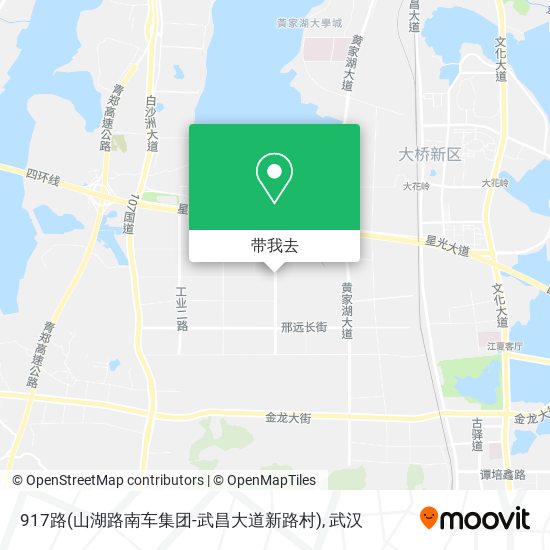 917路(山湖路南车集团-武昌大道新路村)地图