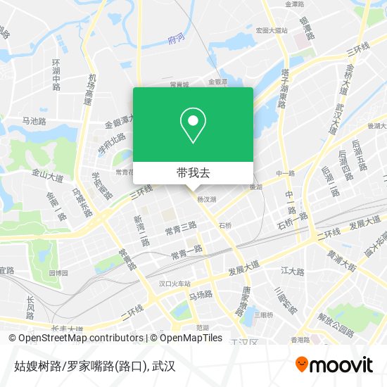 姑嫂树路/罗家嘴路(路口)地图