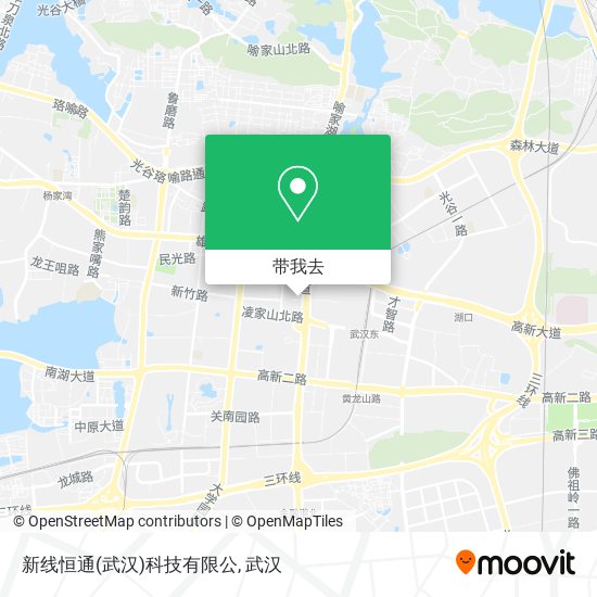 新线恒通(武汉)科技有限公地图
