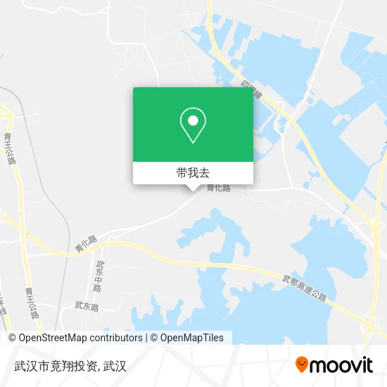 武汉市竟翔投资地图