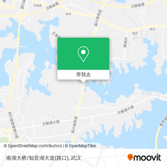 南湖大桥/知音湖大道(路口)地图