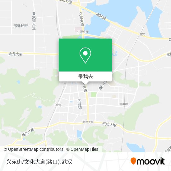 兴苑街/文化大道(路口)地图