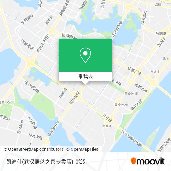 凯迪仕(武汉居然之家专卖店)地图