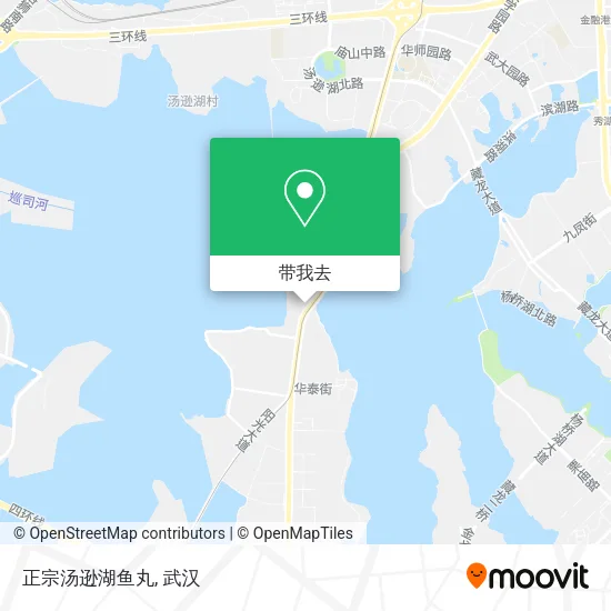 正宗汤逊湖鱼丸地图