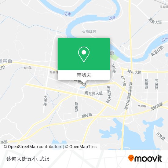 蔡甸大街五小地图