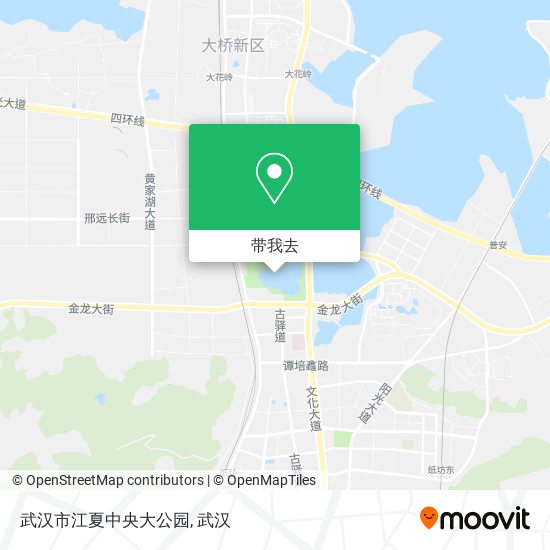 武汉市江夏中央大公园地图