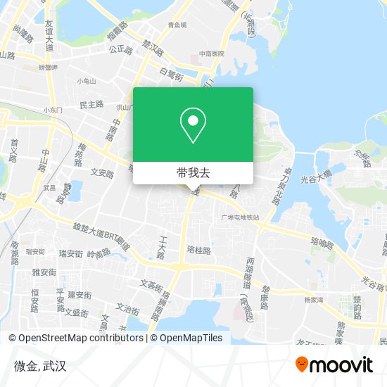 微金地图