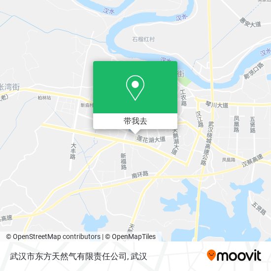 武汉市东方天然气有限责任公司地图