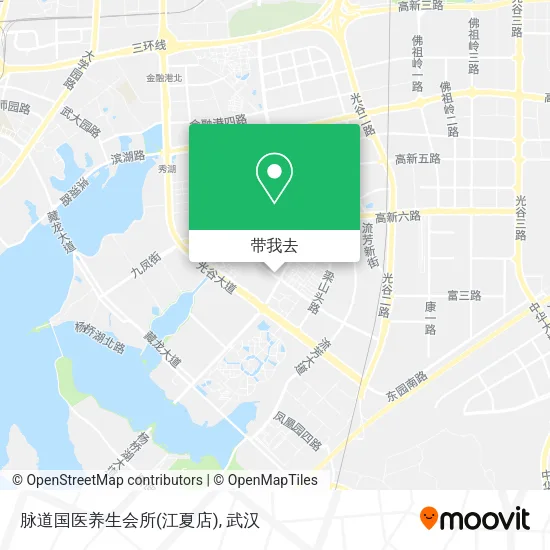 脉道国医养生会所(江夏店)地图