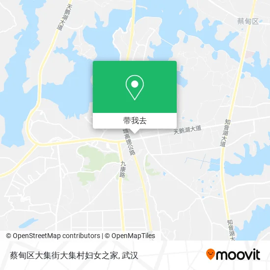 蔡甸区大集街大集村妇女之家地图