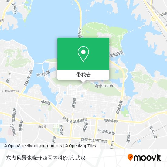 东湖风景张晓珍西医内科诊所地图