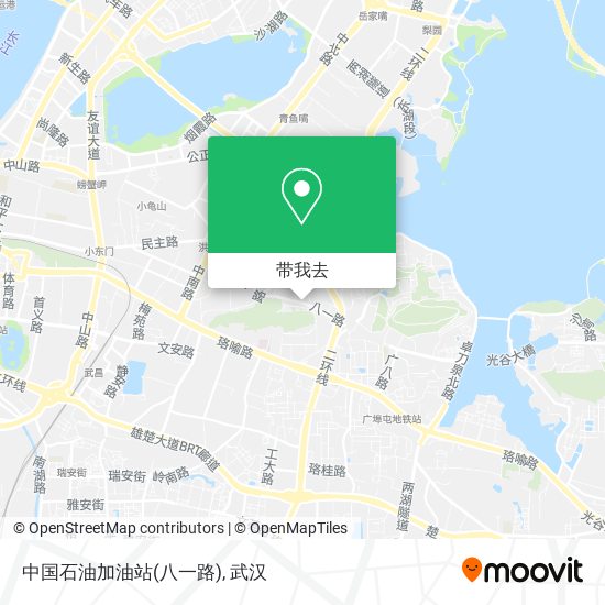 中国石油加油站(八一路)地图