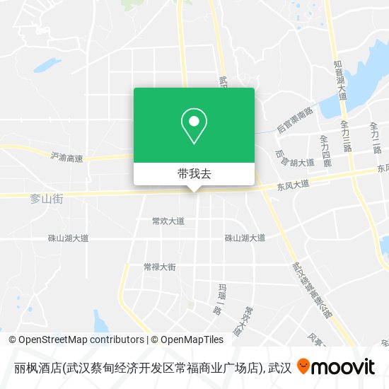 丽枫酒店(武汉蔡甸经济开发区常福商业广场店)地图