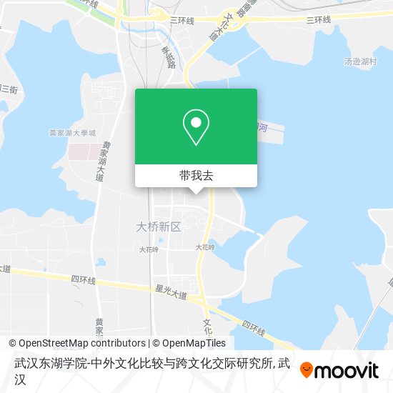 武汉东湖学院-中外文化比较与跨文化交际研究所地图