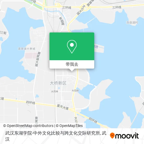武汉东湖学院-中外文化比较与跨文化交际研究所地图