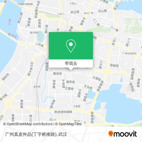 广州真皮外品(丁字桥南路)地图