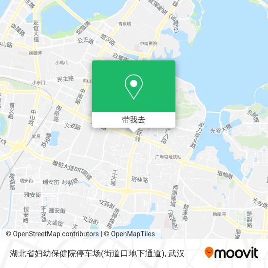 湖北省妇幼保健院停车场(街道口地下通道)地图