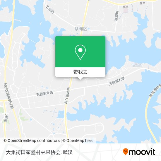 大集街田家堡村林果协会地图