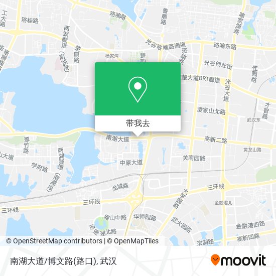 南湖大道/博文路(路口)地图