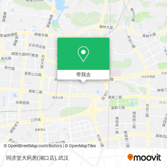 同济堂大药房(湖口店)地图