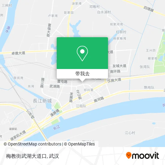 梅教街武湖大道口地图