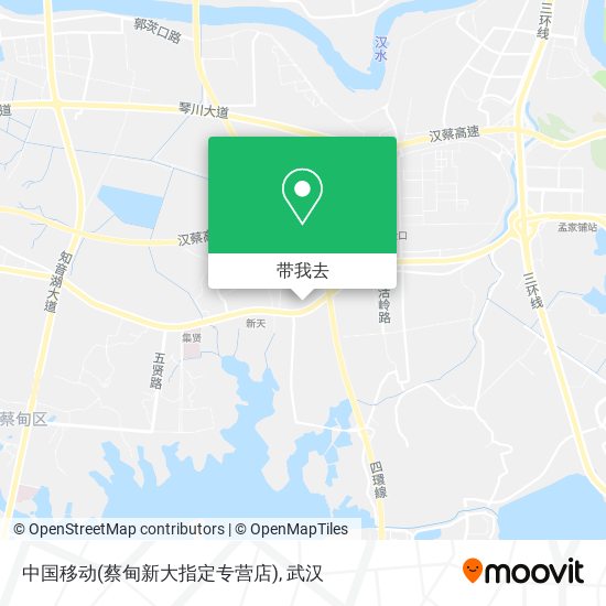 中国移动(蔡甸新大指定专营店)地图