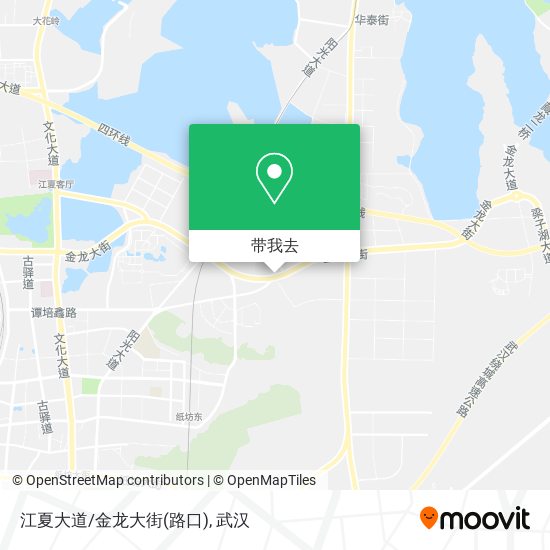 江夏大道/金龙大街(路口)地图