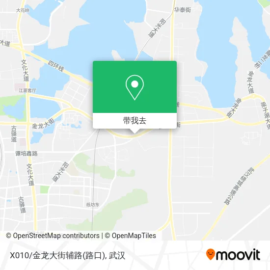X010/金龙大街辅路(路口)地图