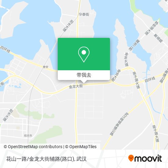 花山一路/金龙大街辅路(路口)地图