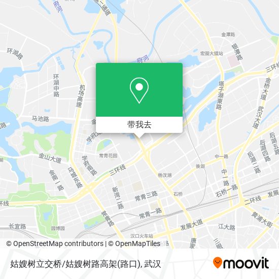 姑嫂树立交桥/姑嫂树路高架(路口)地图