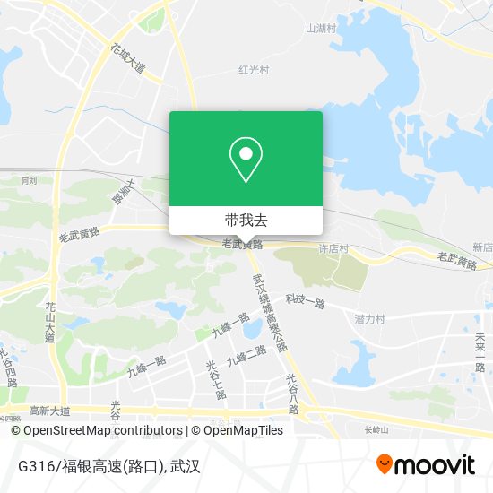 G316/福银高速(路口)地图